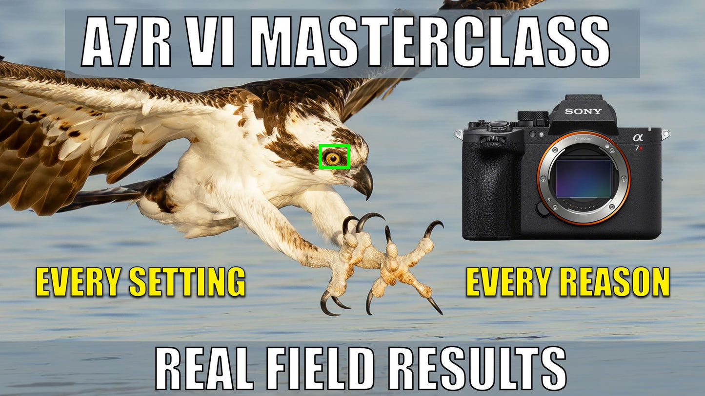Sony A7R VI Masterclass Wildlife Setup For Still Video and Photography