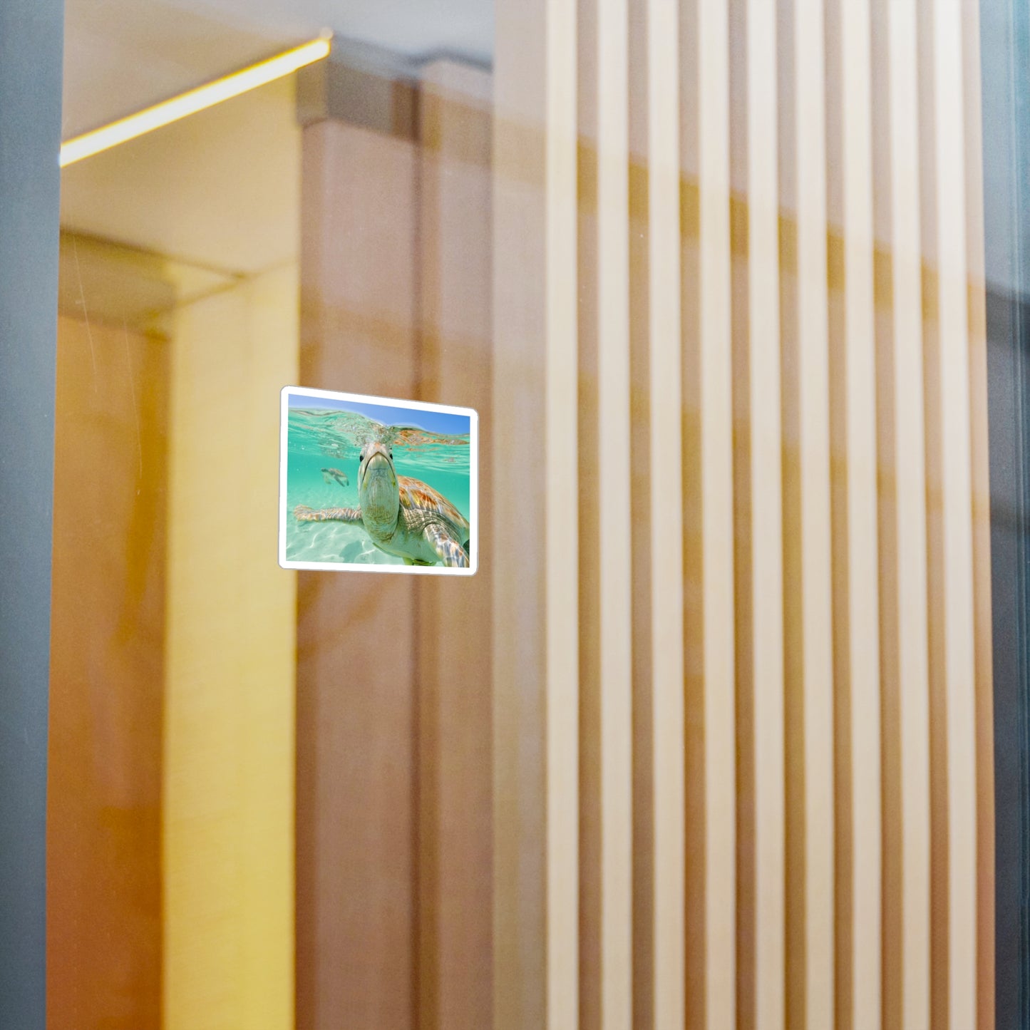 Turtle Stickers