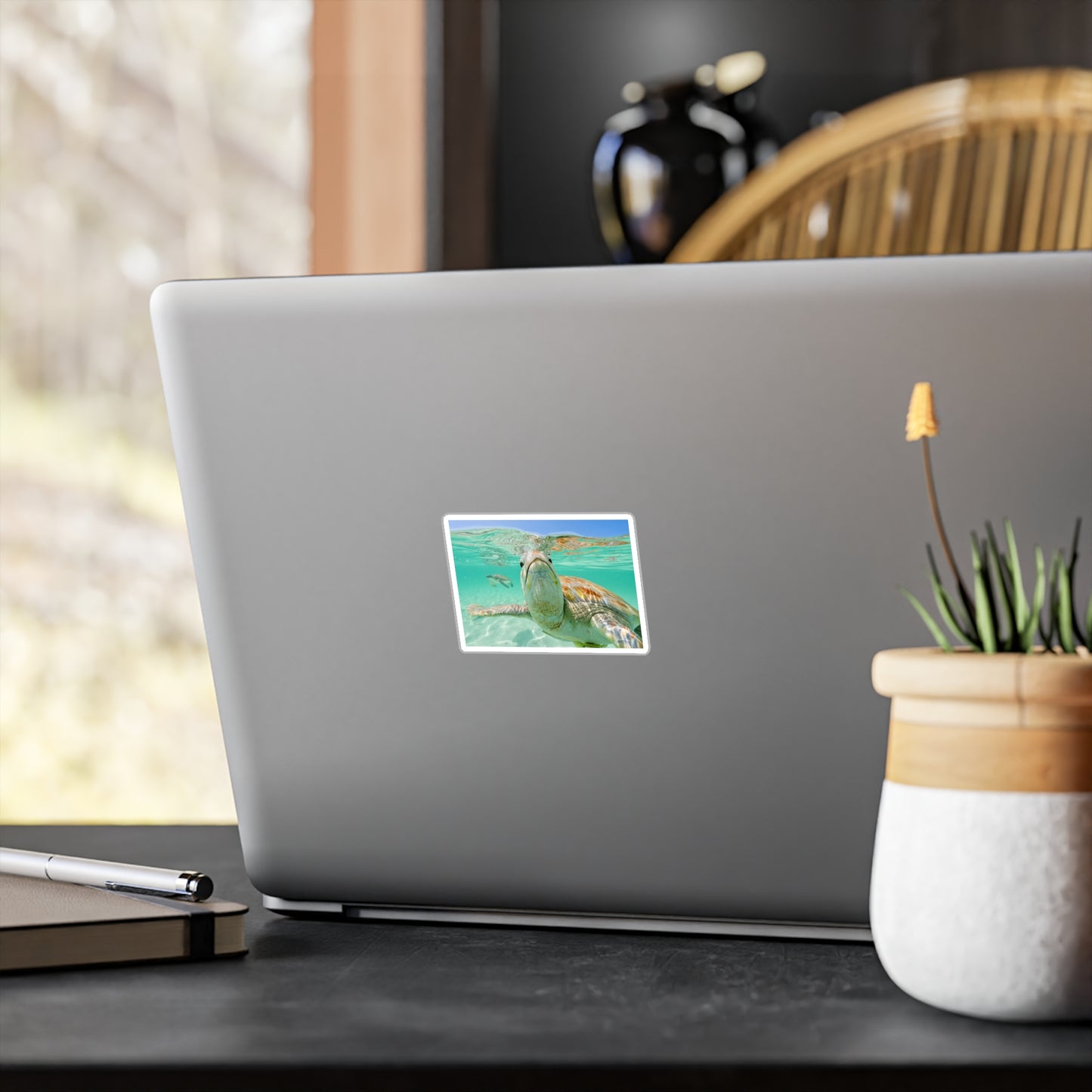 Turtle Stickers