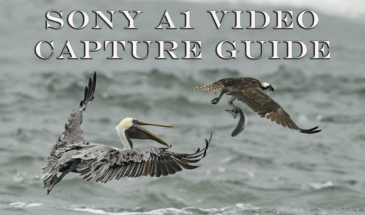 SONY A1 VIDEO CAPTURE GUIDE – THE COMPLETE ONLINE COURSE