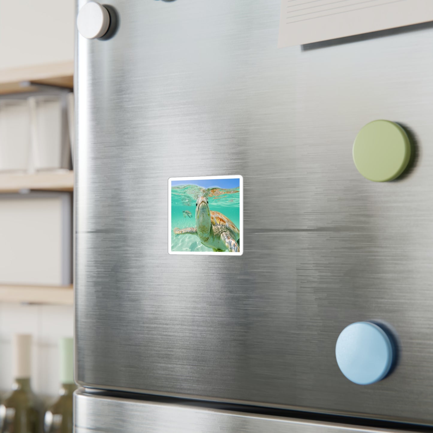 Turtle Stickers