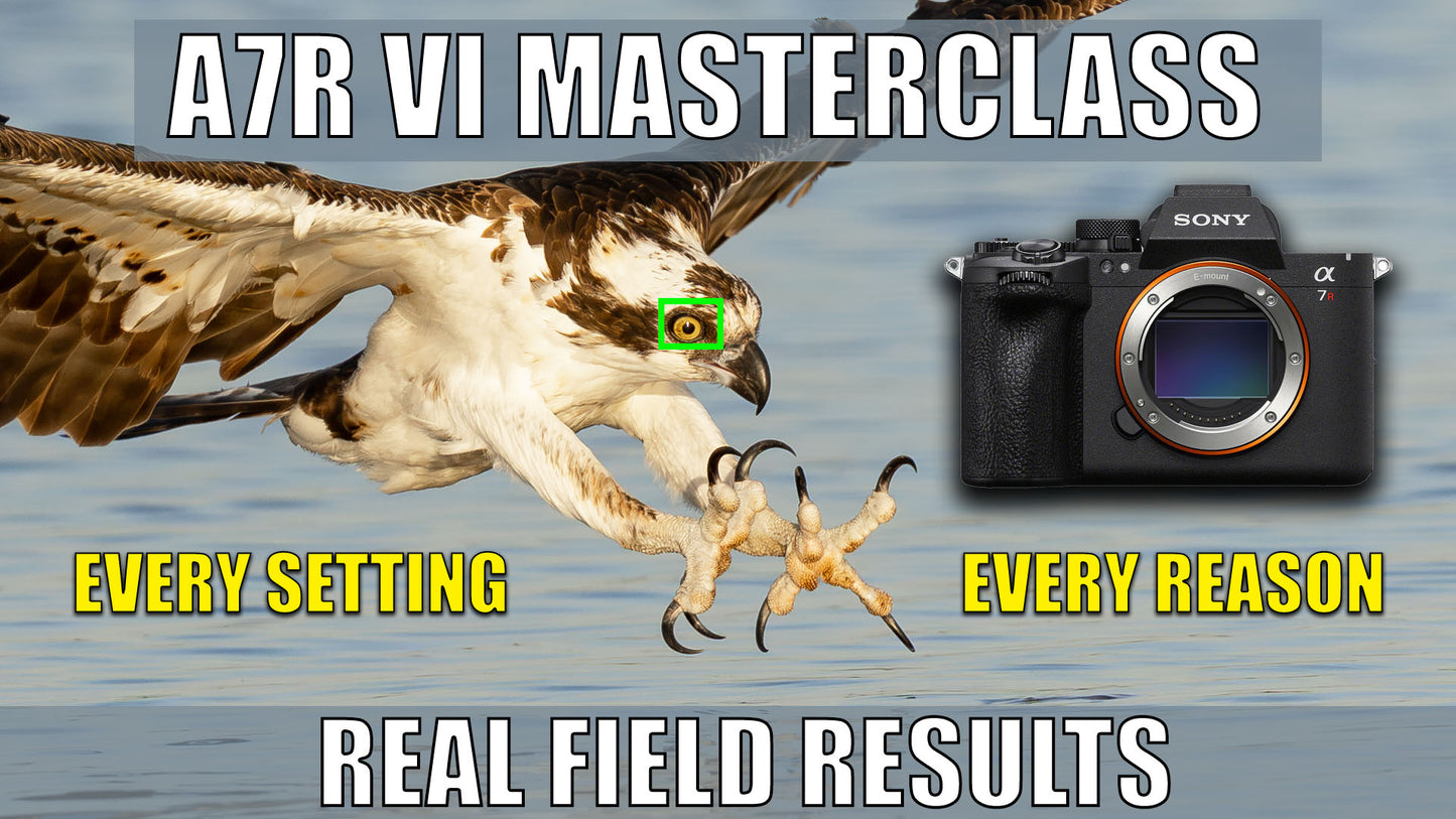 Sony A7R VI Complete Wildlife MaserClass  for Still Photography and Video