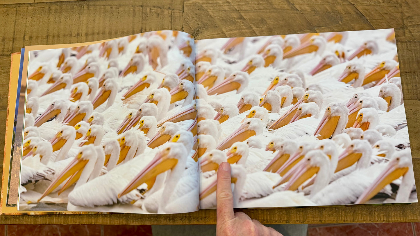 The Spirit of Birds Coffee Table Book