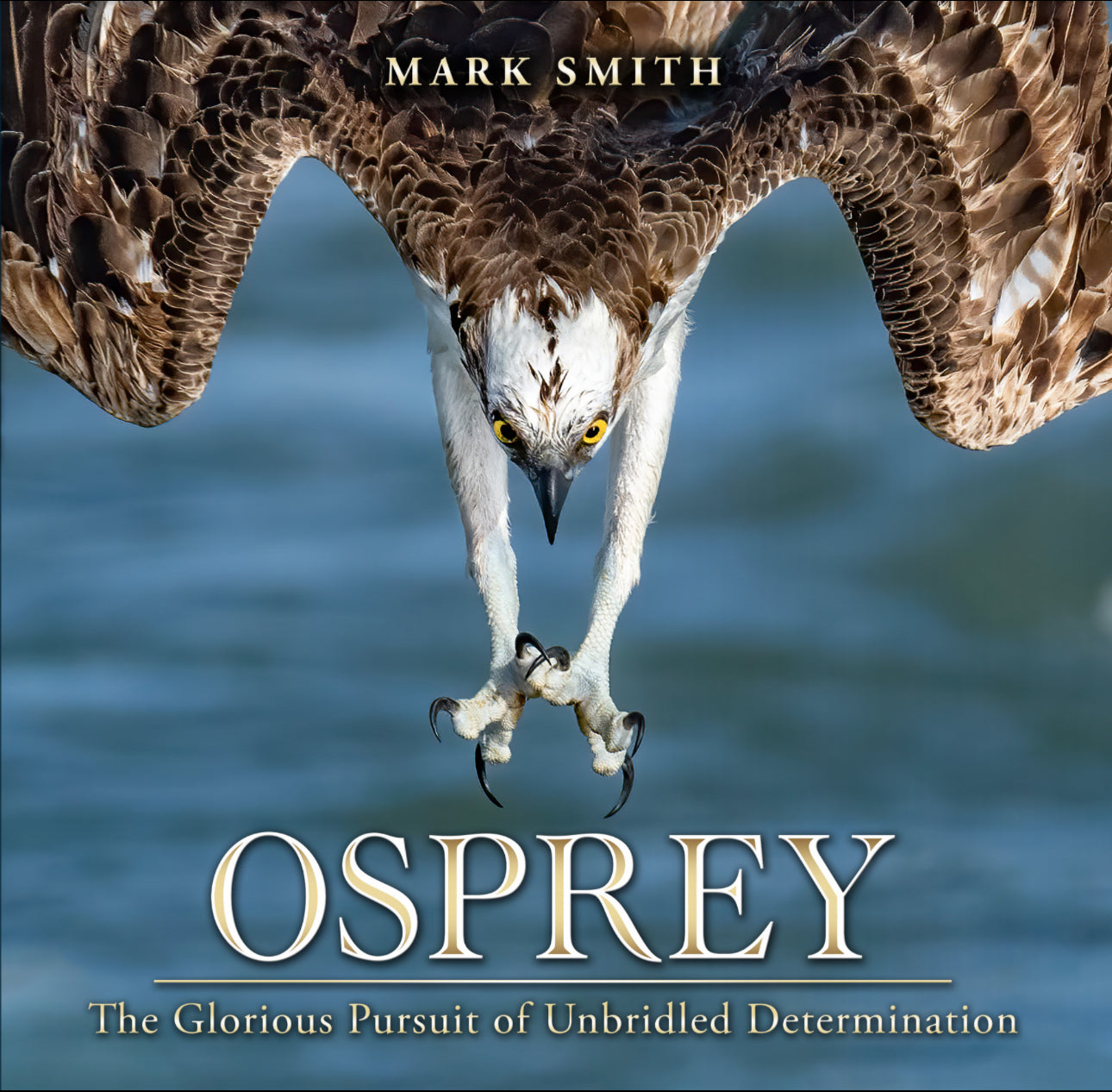 Osprey: The Glorious Pursuit of Unbridled Determination Coffee Table Book