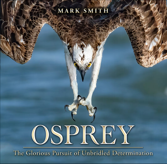 Osprey: The Glorious Pursuit of Unbridled Determination Coffee Table Book